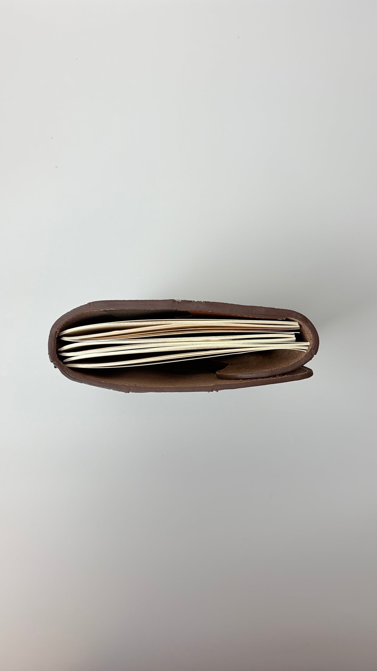 Bride of Frankenstein Journal size A5