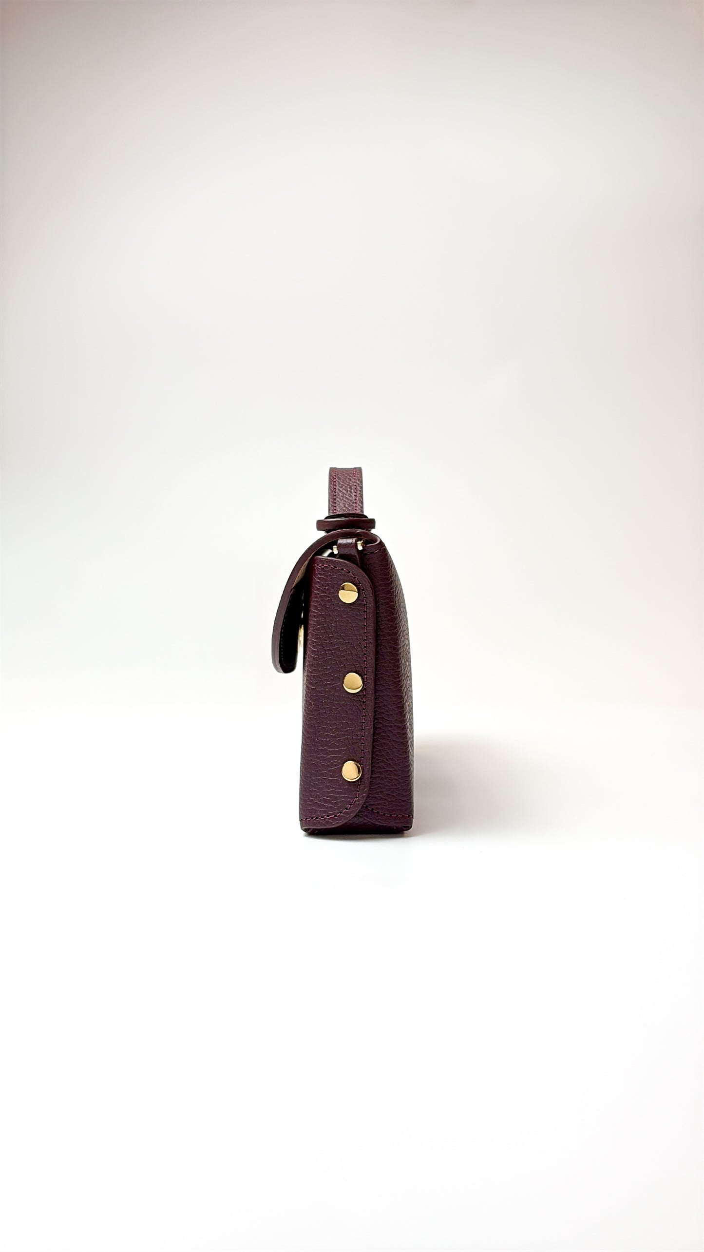 Sumi Crossbody in Burdeos with Gold Hardware