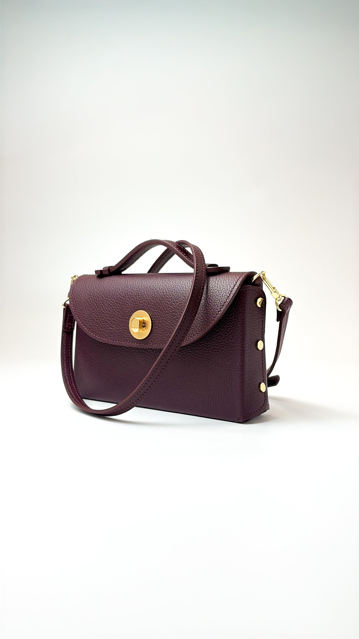 Sumi Crossbody in Burdeos with Gold Hardware