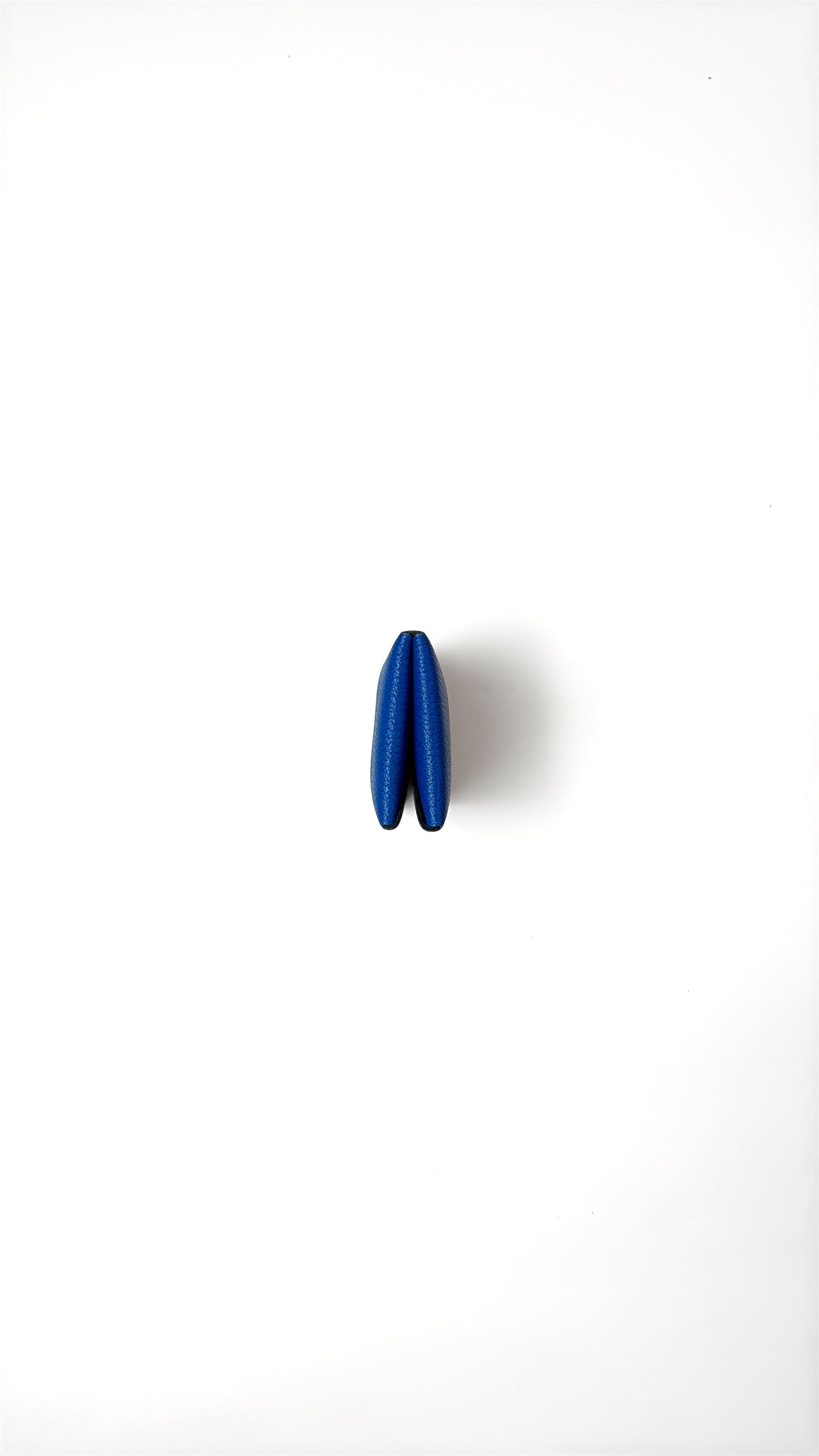 The Plier in Vivid Blue