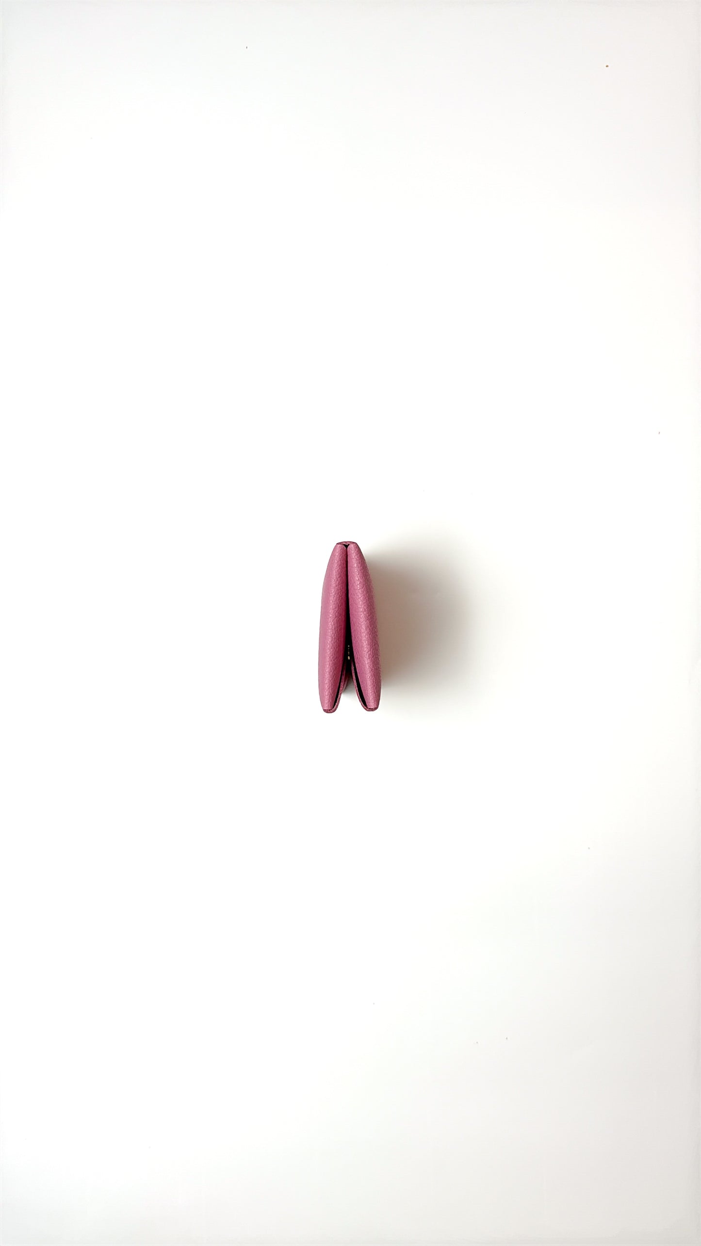 The Plier in Ballerina